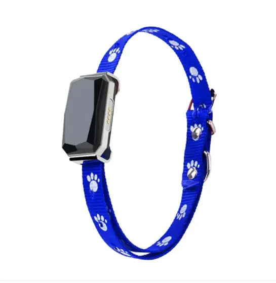 פאקו ופופו - קולר GPS חכם לחיות מחמד