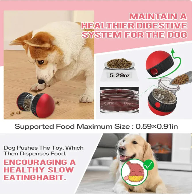 Pakko &amp; Fufu - כדור מאכיל כלבים