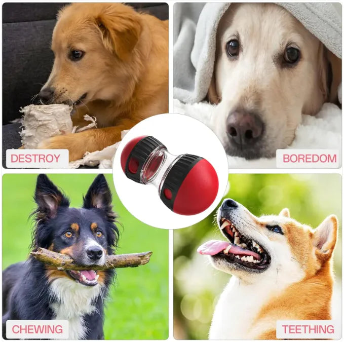 Pakko &amp; Fufu - כדור מאכיל כלבים