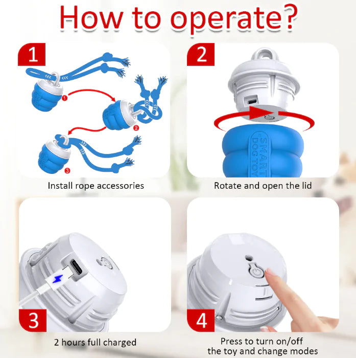 פאקו ופופו - צעצוע מתגלגל חכם לכלבים