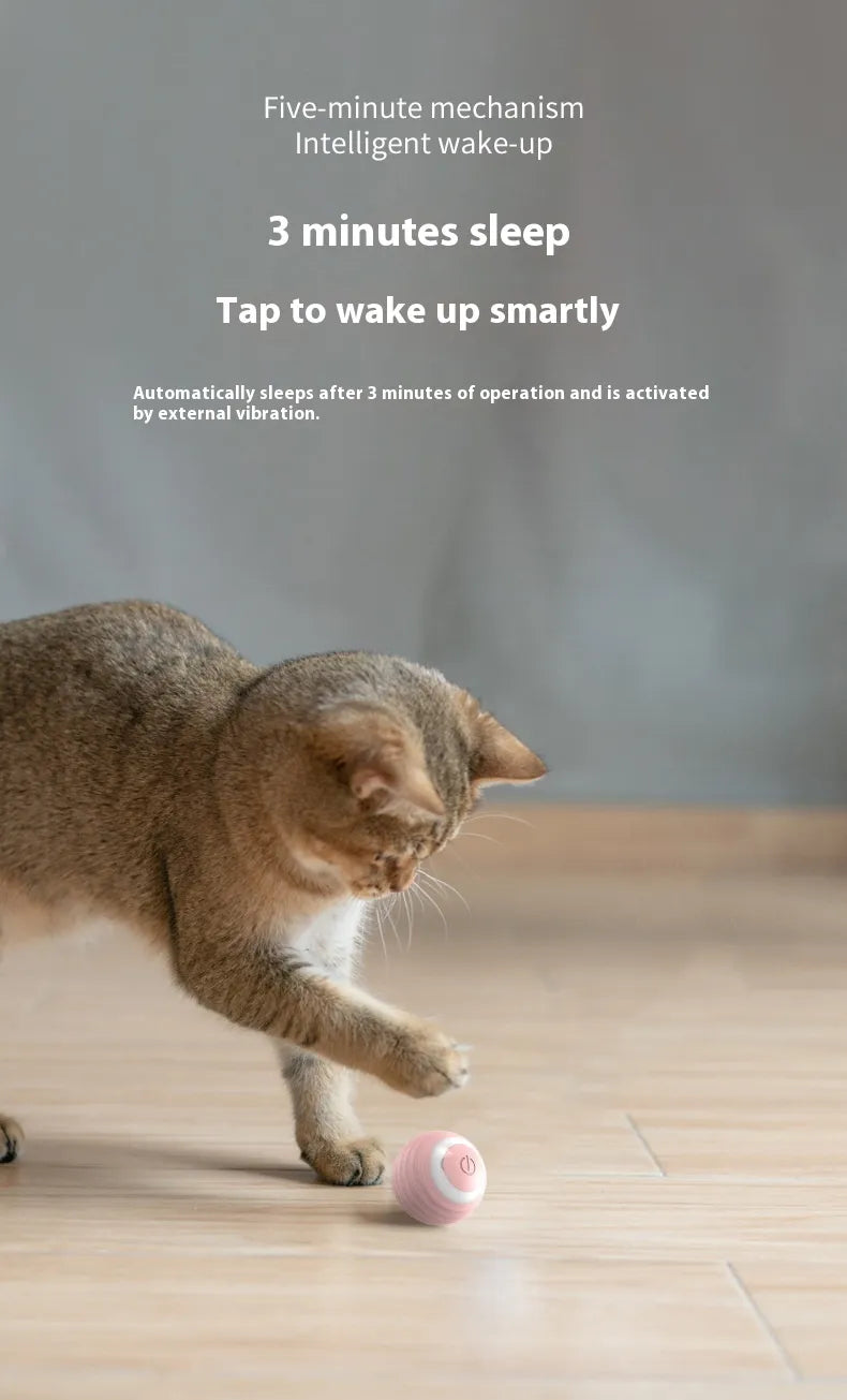 פאקו ופופו - כדור כלבים בתנועה חכמה