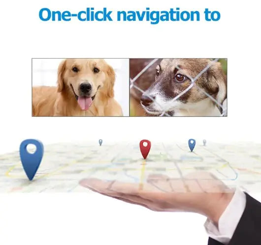 פאקו ופופו - קולר GPS חכם לחיות מחמד