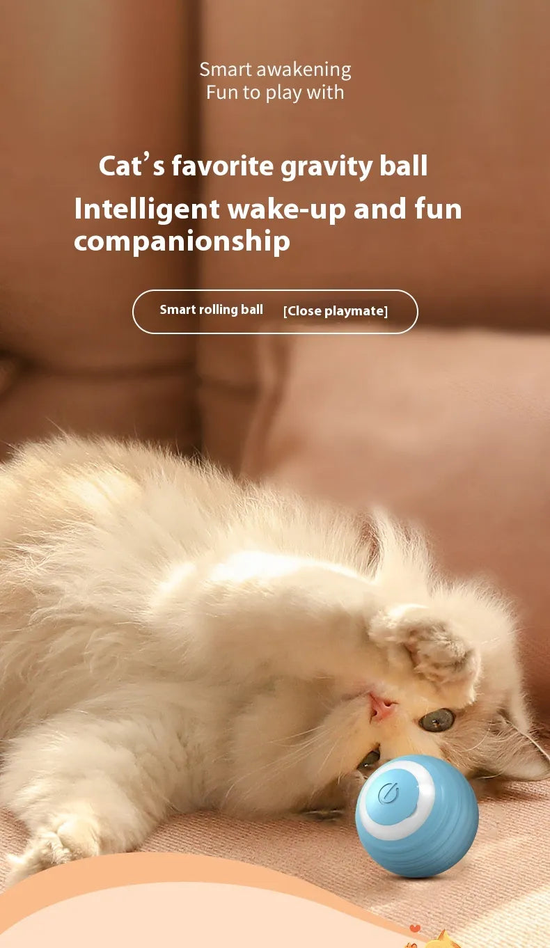 פאקו ופופו - כדור כלבים בתנועה חכמה