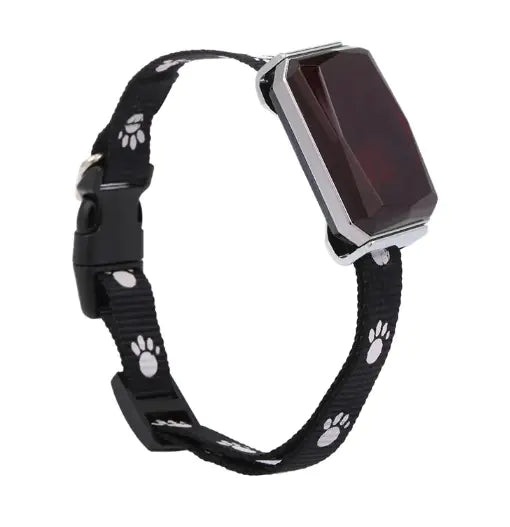 פאקו ופופו - קולר GPS חכם לחיות מחמד