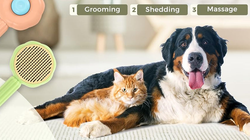 Pakko &amp; Fufu – מברשת לטיפוח חמניות לחיות מחמד