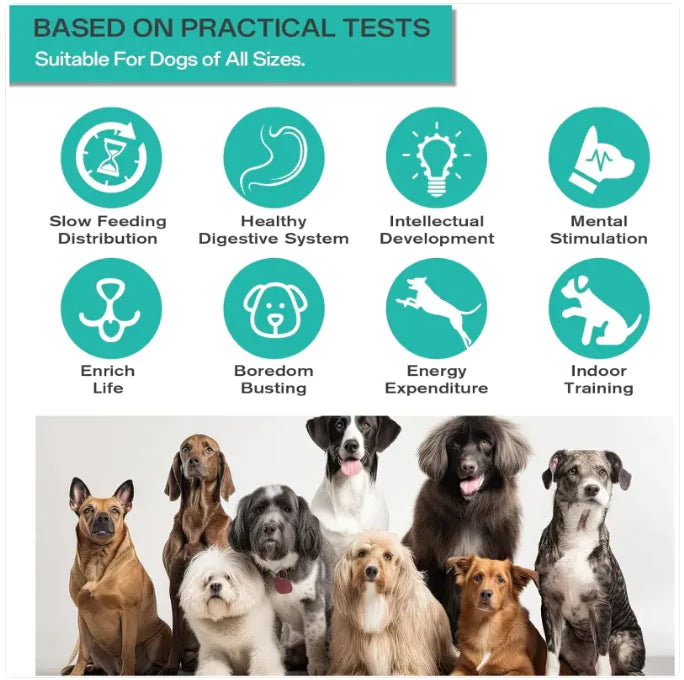 Pakko &amp; Fufu - כדור מאכיל כלבים