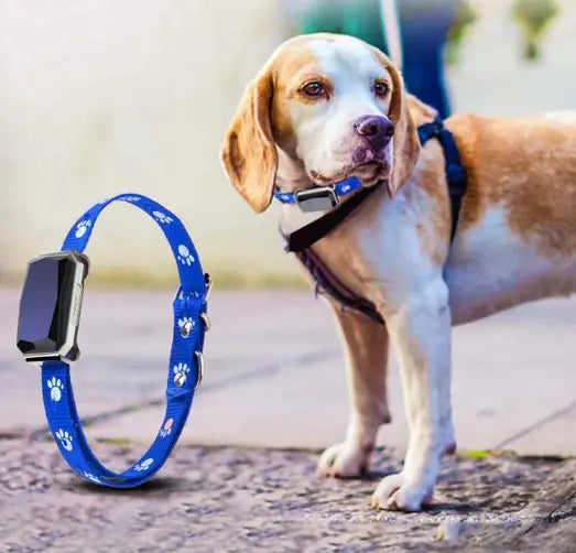 פאקו ופופו - קולר GPS חכם לחיות מחמד