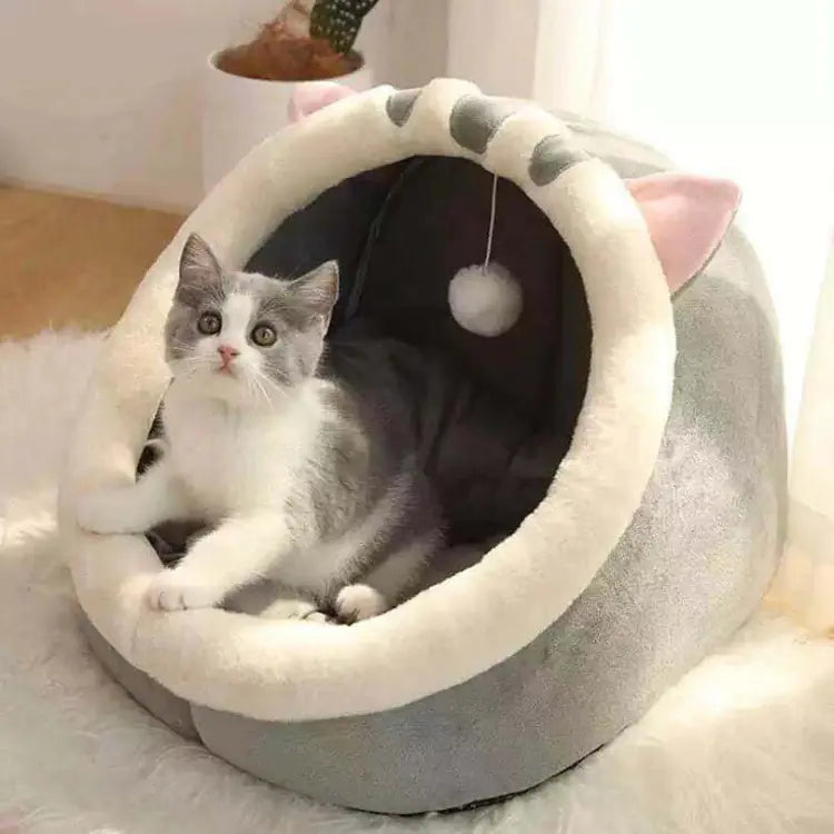 Pakko &amp; Fufu - Cozy Villa Pet House-All Seasons