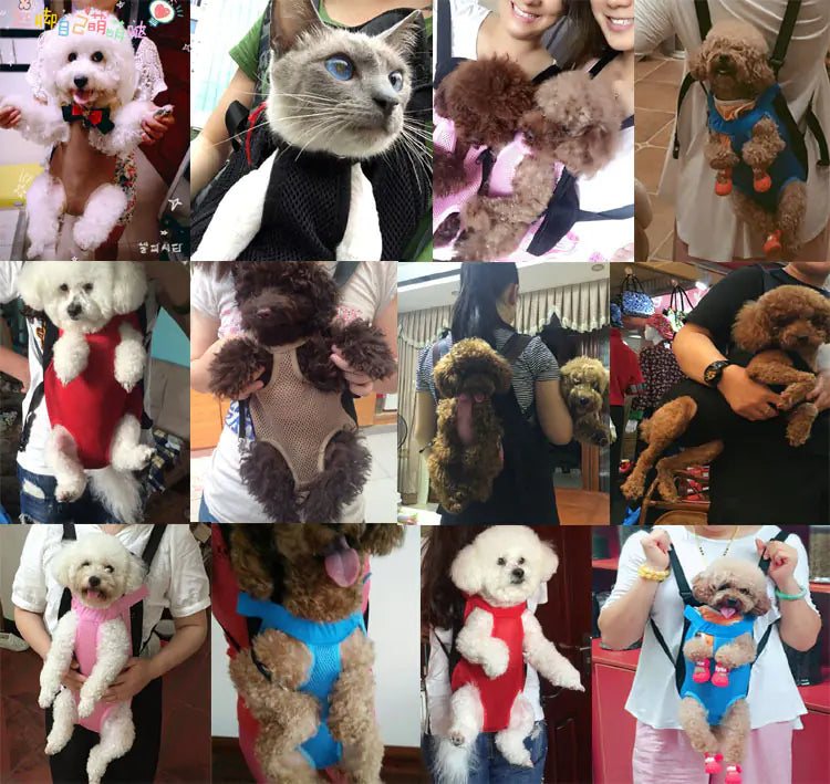 פאקו ופופו – תרמיל גב לחיות מחמד הפונה קדימה (נושם ובטוח)